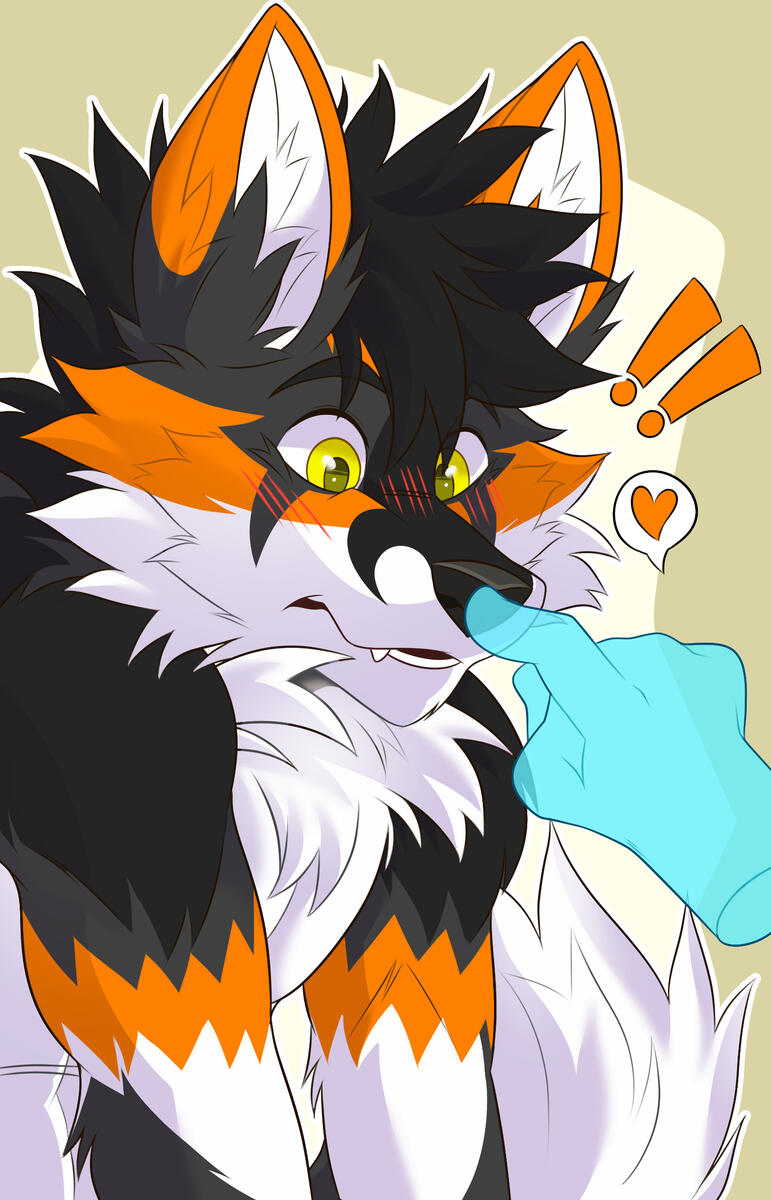 Surprise boop @itswisker